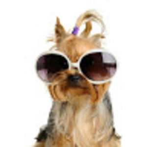 Meet your Posher, Makia